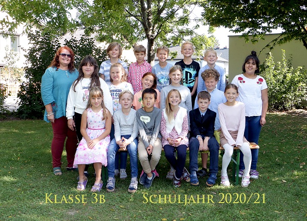3b